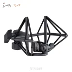 میکروفون sE Electronics Voodoo VR1